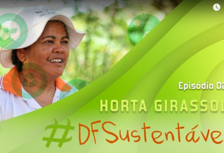 df-sustent